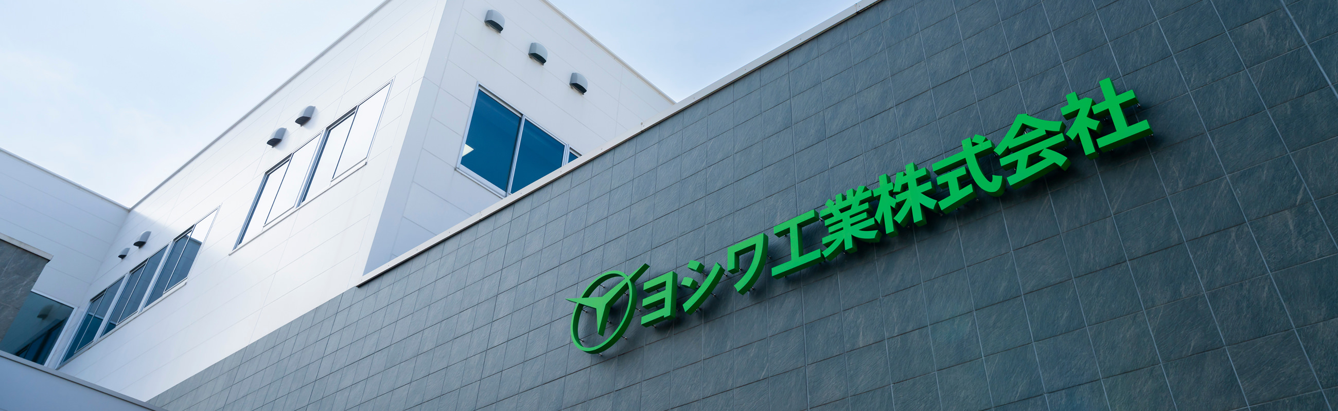 Company Profile/History