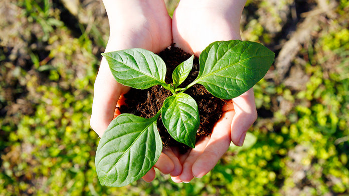 Environmental activities